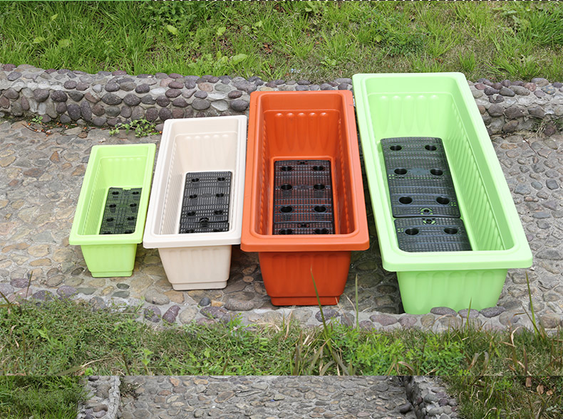 种花蔬菜种植箱